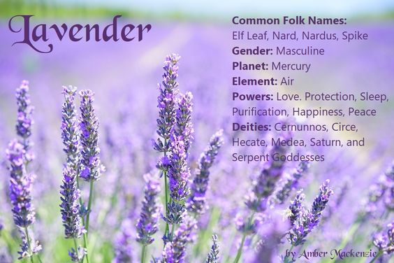 f4762b82ece62e6a32528afabe6def0e